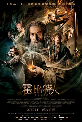 The Hobbit: The Desolation of Smaug 霍比特人2：史矛革之战