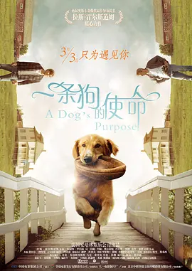 A Dog's Purpose 一条狗的使命